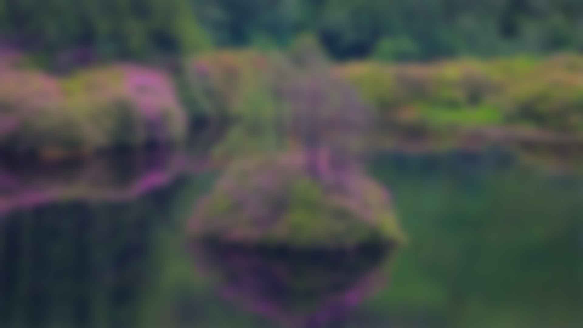 健身：拥抱健康与活力的生活方式